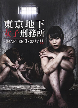 电影《金悔瓶》3三部曲