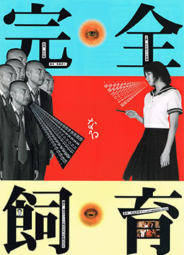 九欲情歌